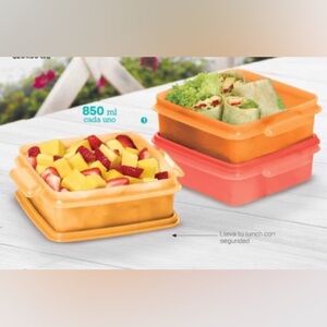 Tupperware Quarter Container Set  of 3